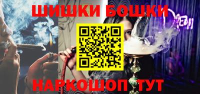 a pvp Камышлов