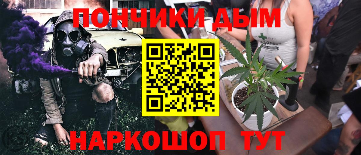 Бошки Шишки сатива  Канабис семена  МАРИХУАНА ГИДРОПОН  Вход с VPN  Канабис VHQ  Красноуфимск 